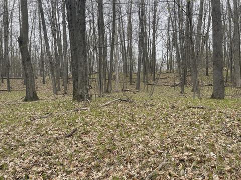 10300 Lost Cyn #336, Canadian Lakes, MI 49346