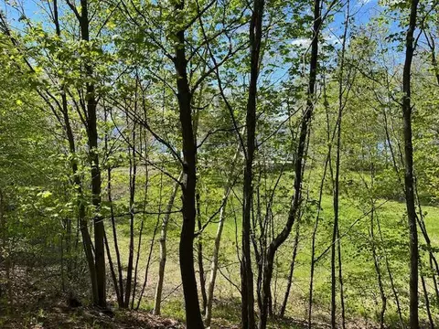 V/l Lake, Whitehall, MI 49461 photo 12