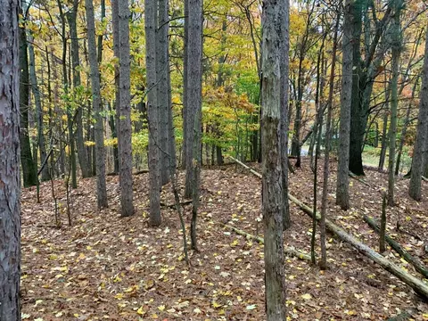 V/l Lake, Whitehall, MI 49461 photo 31