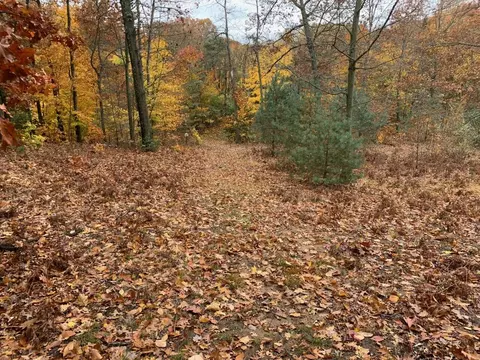 V/l Lake, Whitehall, MI 49461 photo 30