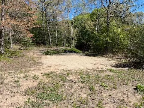 V/l Lake, Whitehall, MI 49461 photo 35