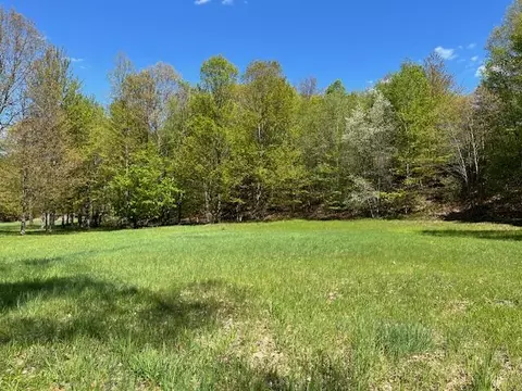V/l Lake, Whitehall, MI 49461 photo 3