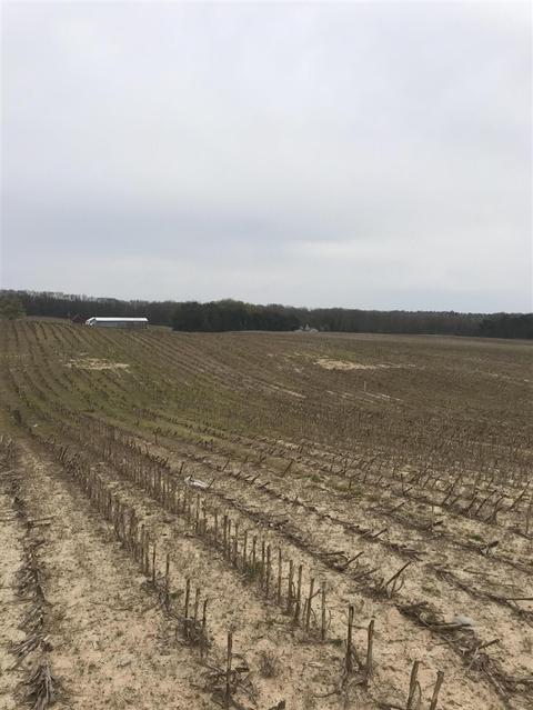 Lot 4 Potters Road, Ionia, MI 48846