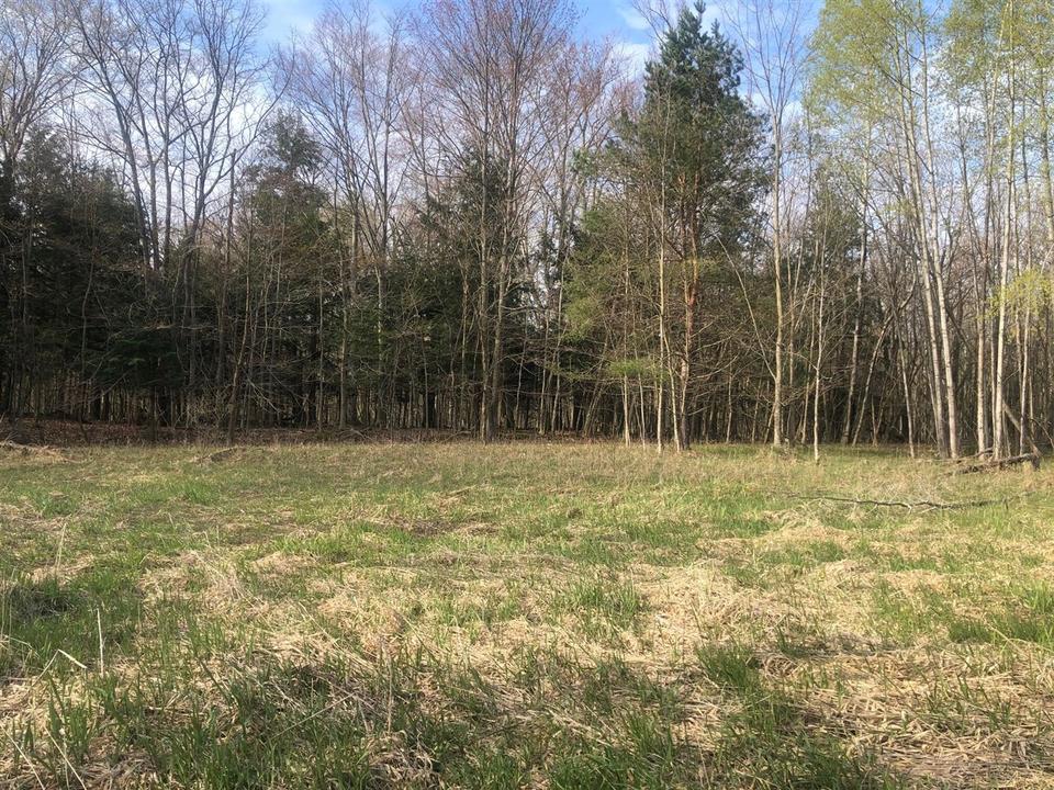  6795 Siegfried Rd, Kaleva, MI 49645 photo 7