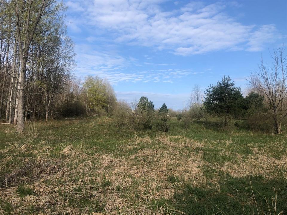  6795 Siegfried Rd, Kaleva, MI 49645 photo 2