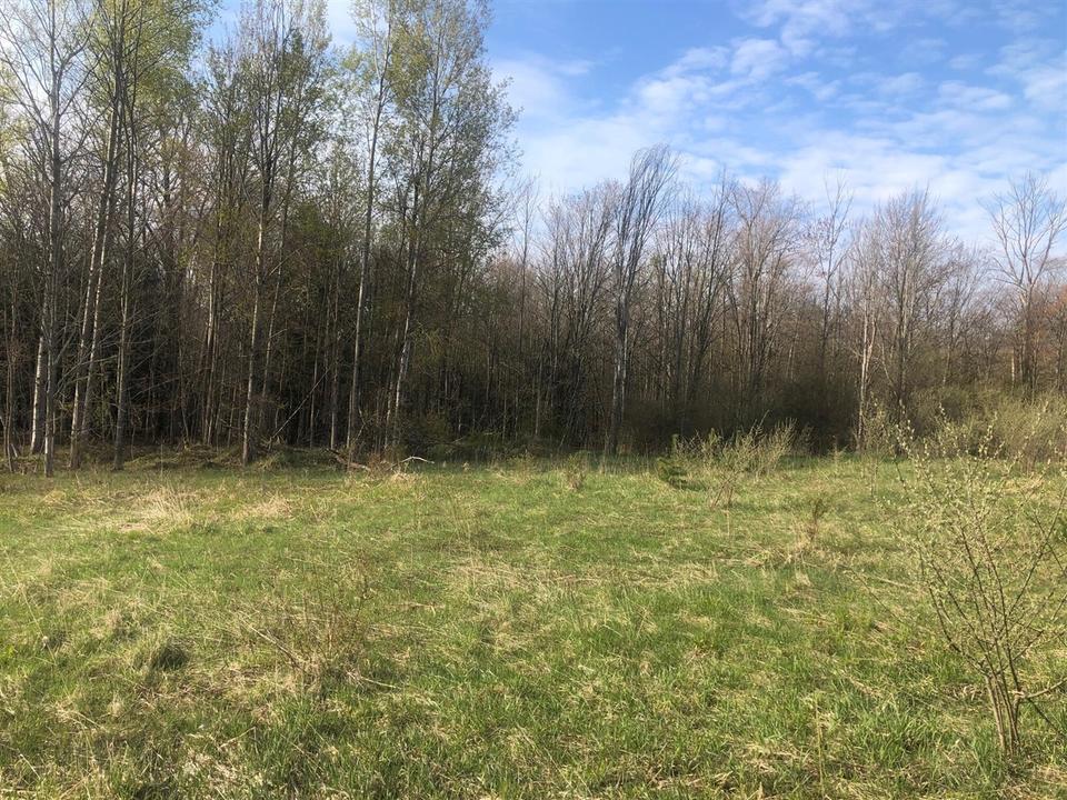  6795 Siegfried Rd, Kaleva, MI 49645 photo 9