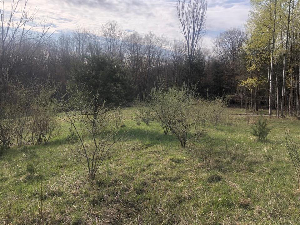  6795 Siegfried Rd, Kaleva, MI 49645 photo 11