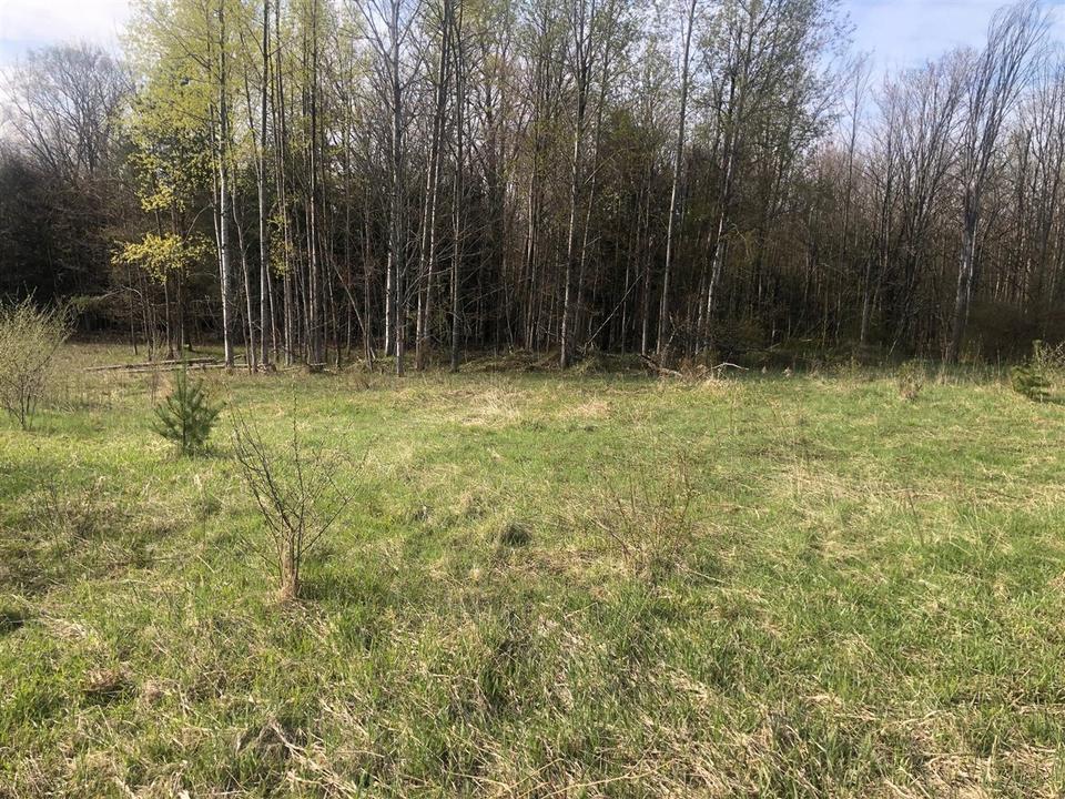  6795 Siegfried Rd, Kaleva, MI 49645 photo 8