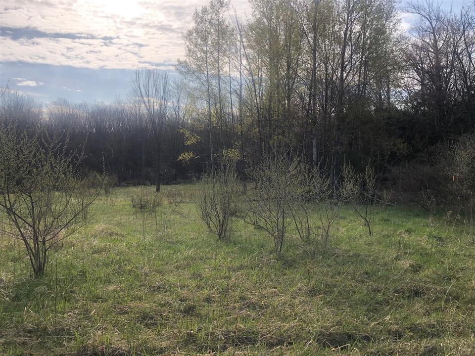  6795 Siegfried Rd, Kaleva, MI 49645 photo 12