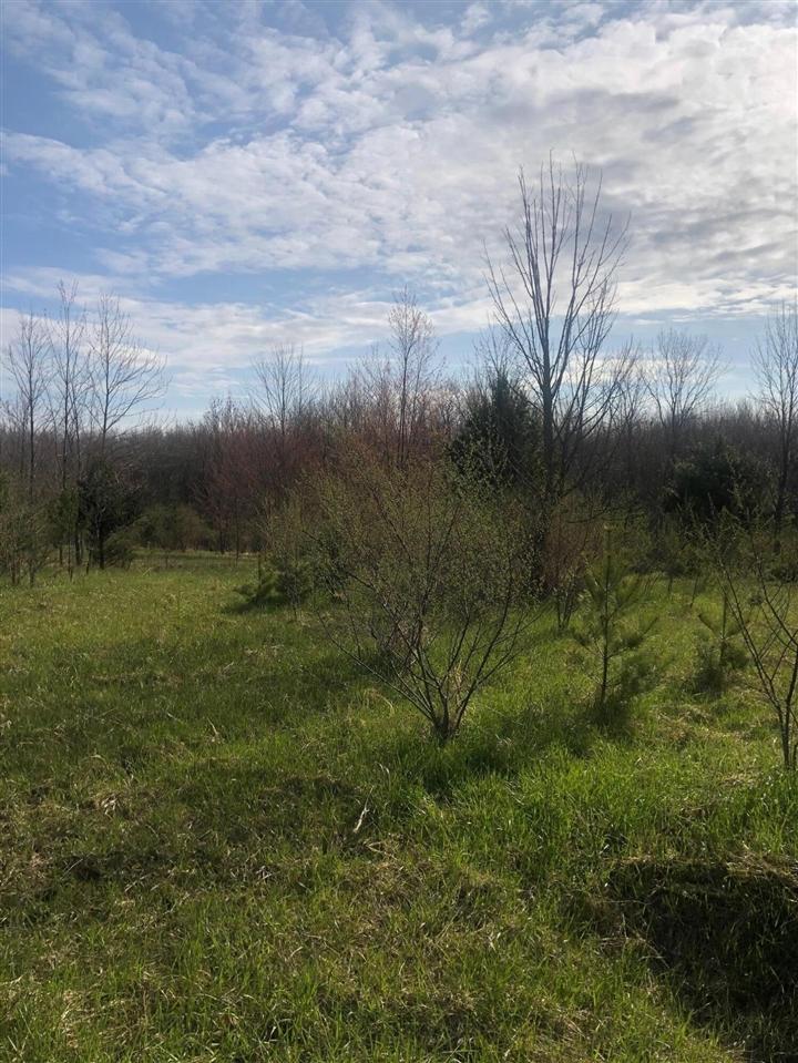  6795 Siegfried Rd, Kaleva, MI 49645 photo 10