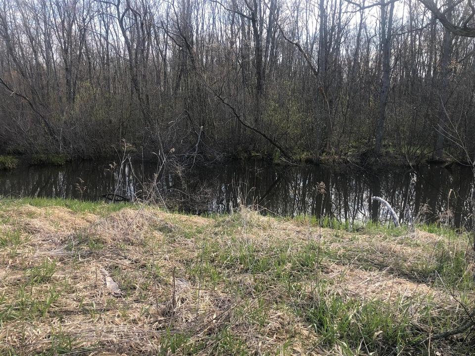  6795 Siegfried Rd, Kaleva, MI 49645 photo 4