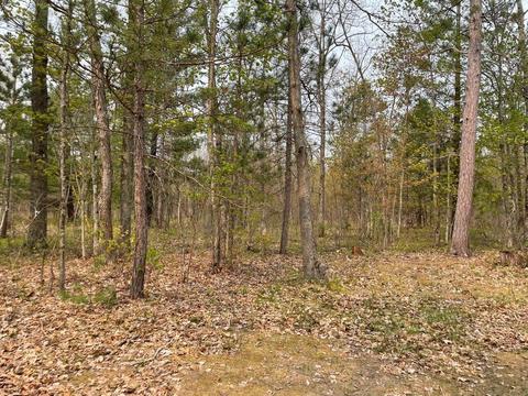 13296 Cedar Crk, Wellston, MI 49689