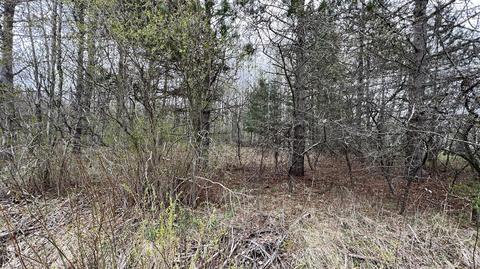 00 Michigan, Harrietta, MI 49638 photo 7