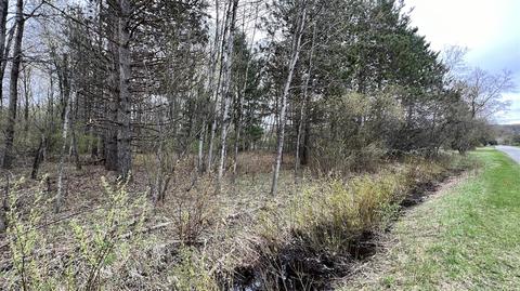 00 Michigan, Harrietta, MI 49638 photo 6