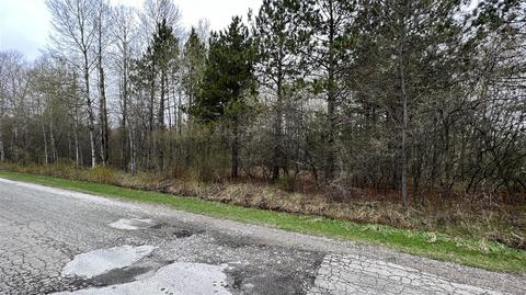 00 Michigan, Harrietta, MI 49638 photo 5