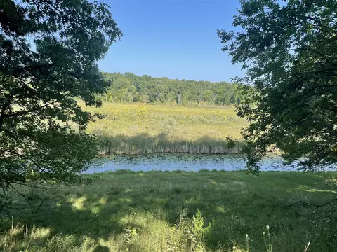 31217 E Lafayette, Sturgis, MI 49091