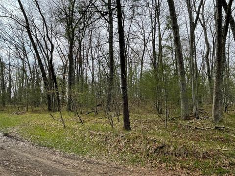 0 Private Dr, Bitely, MI 49309 photo 14