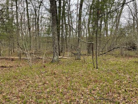 0 Private Dr, Bitely, MI 49309 photo 6