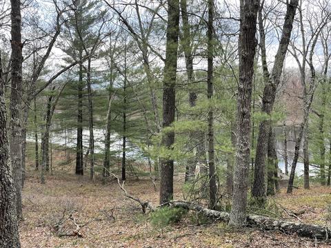 0 Private Dr, Bitely, MI 49309 photo 15