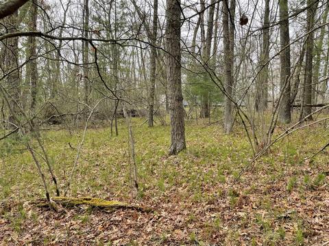 0 Private Dr, Bitely, MI 49309 photo 10