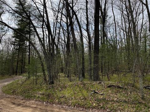 0 Private Dr, Bitely, MI 49309 photo 2