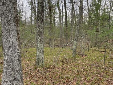 0 Private Dr, Bitely, MI 49309 photo 5
