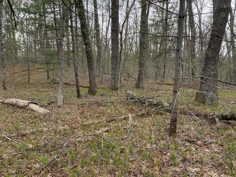 0 Private Dr, Bitely, MI 49309 photo 7