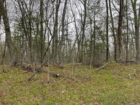 0 Private Dr, Bitely, MI 49309 photo 4