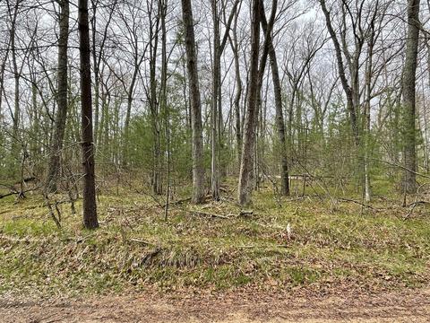 0 Private Dr, Bitely, MI 49309 photo 13