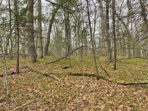 0 Private Dr, Bitely, MI 49309 photo 9