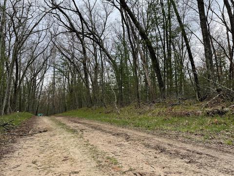 0 Private Dr, Bitely, MI 49309 photo 11