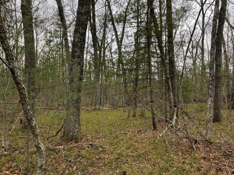 0 Private Dr, Bitely, MI 49309 photo 3