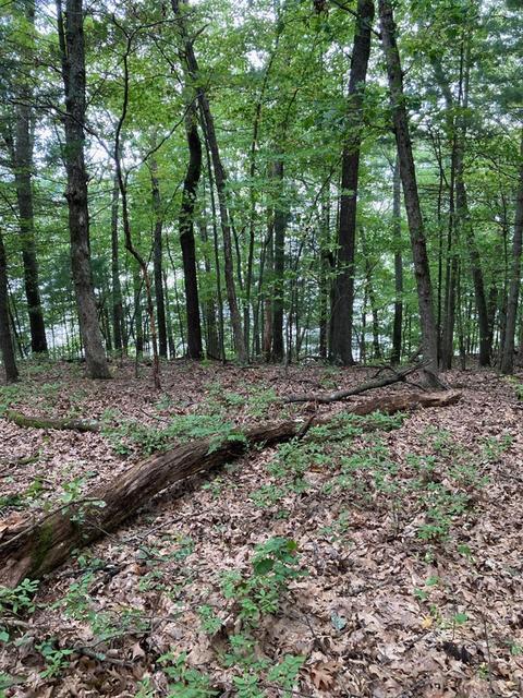 V/l Wintergreen Drive Lot 48, Allegan, MI 49010