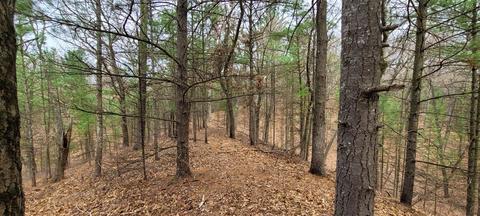 0 N Business Route 31, Pentwater, MI 49449