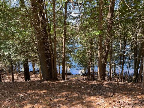 11655 N Cool Lk, Irons, MI 49644 photo 7