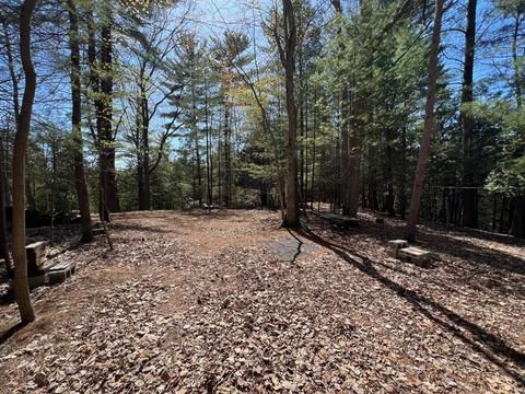 11655 N Cool Lk, Irons, MI 49644 photo 8