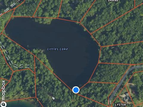 11655 N Cool Lk, Irons, MI 49644 photo 5