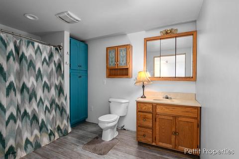 5163 Whites Brg, Belding, MI 48809 photo 17