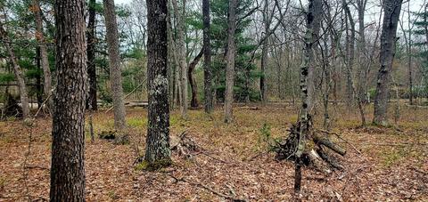 Oakwood, Bitely, MI 49309