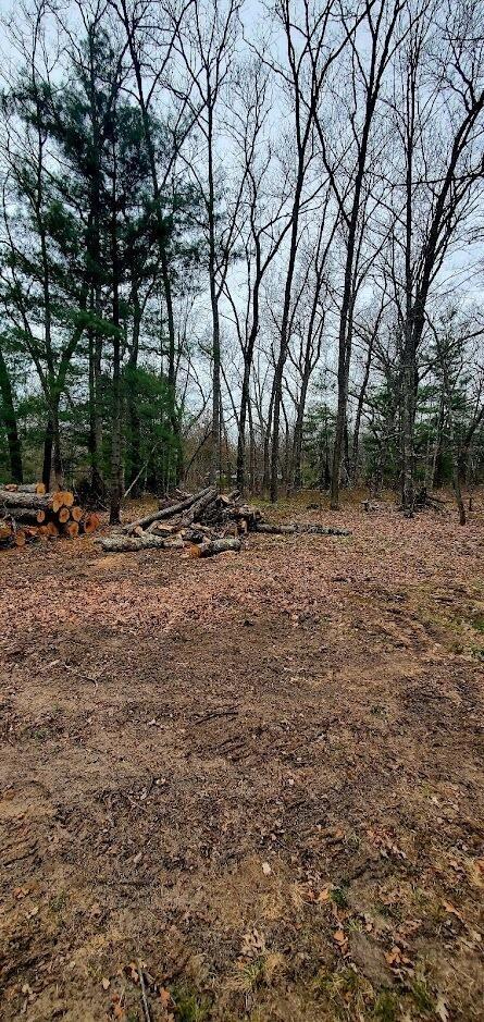 Oakwood, Bitely, MI 49309 photo 3