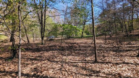 4683 Deer Cv #215, Custer, MI 49405 photo 3