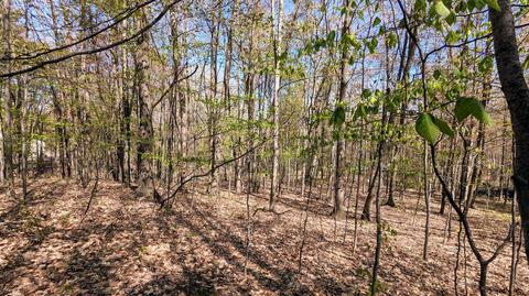 4683 Deer Cv #215, Custer, MI 49405