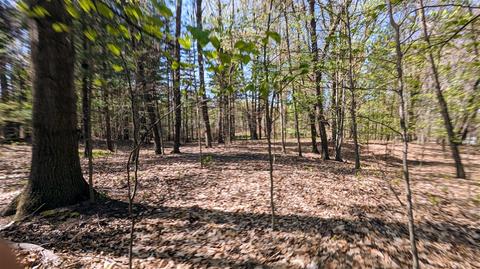4683 Deer Cv #215, Custer, MI 49405 photo 6