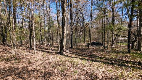 4683 Deer Cv #215, Custer, MI 49405 photo 5