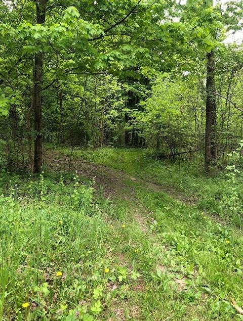 1555 123rd, Hopkins, MI 49328