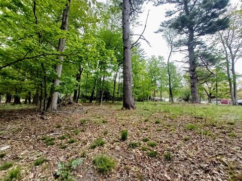 Morris St., Pentwater, MI 49449