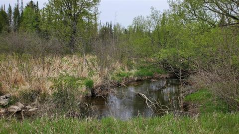 0 Greenwood, West Branch, MI 48661