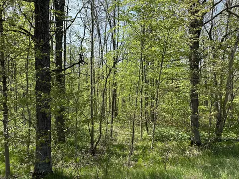 W Hc-edmore Rd, Howard City, MI 49329