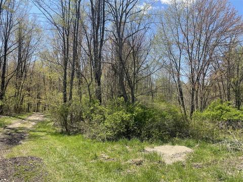 14 Th Ave, Grand Junction, MI 49056