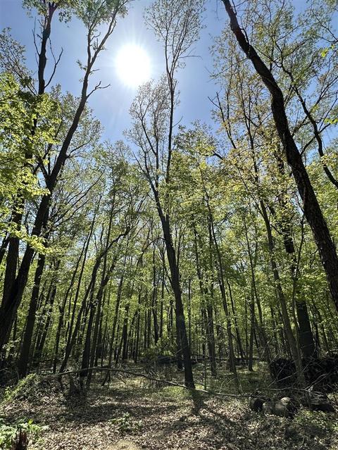 6 Mile, Athens, MI 49011